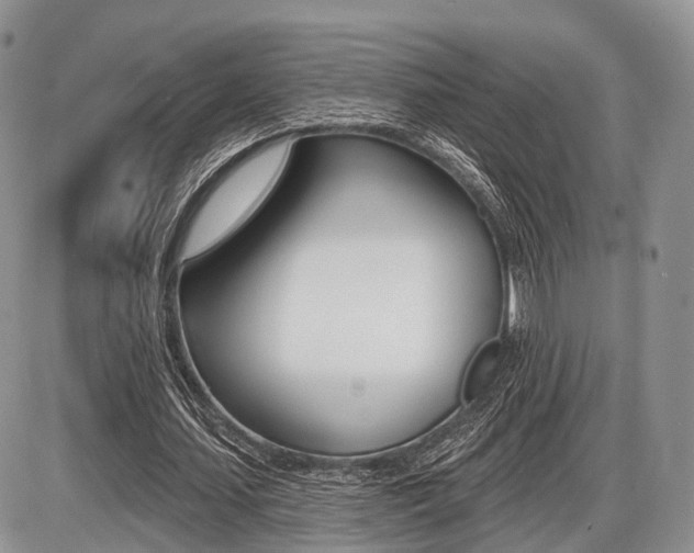 X0000087410627200704201021