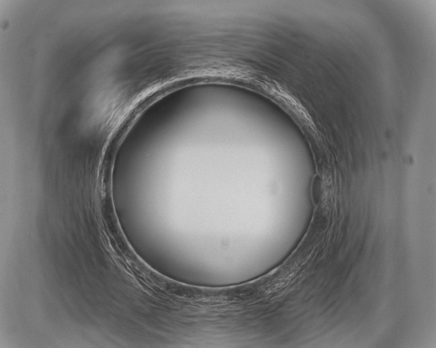 X0000087410628200704201021
