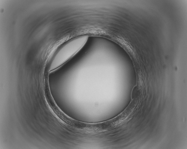 X0000087410630200704201021