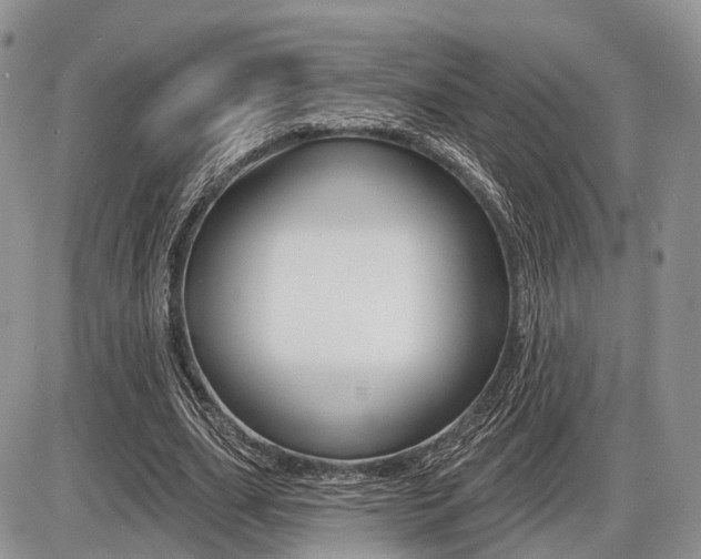 X0000087410631200704201021