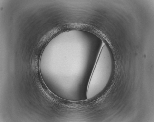 X0000087410633200704201021