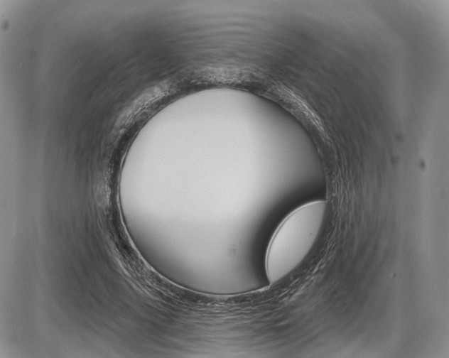 X0000087410635200704201021