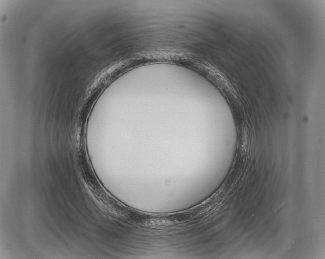 X0000087410636200704201021