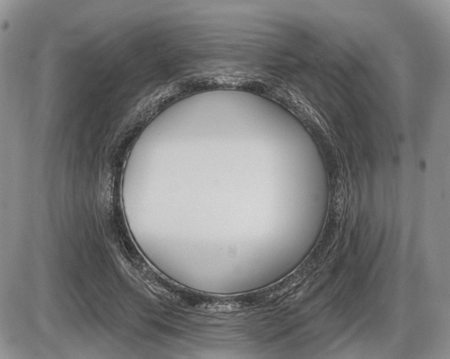 X0000087410639200704201021