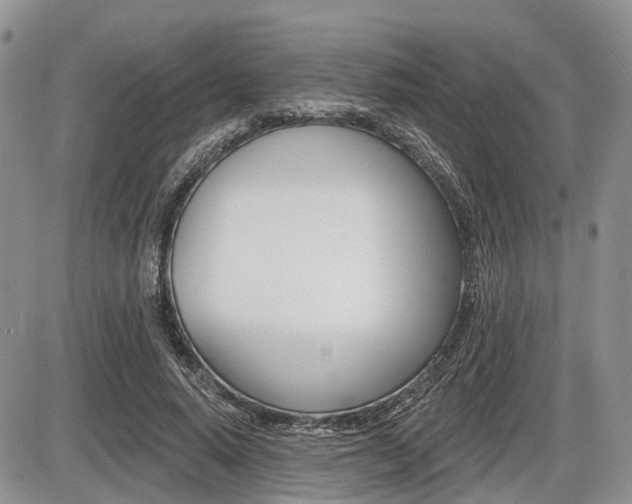 X0000087410640200704201021