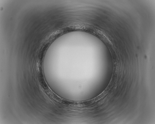 X0000087410643200704201021