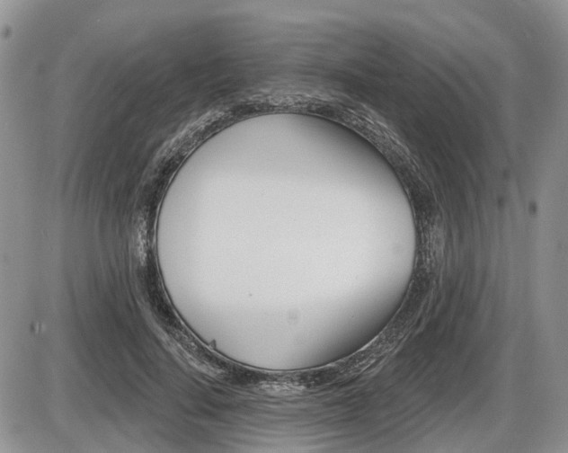 X0000087410644200704201021