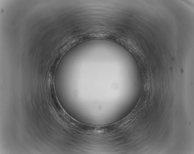 X0000087410647200704201021