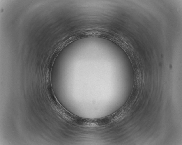 X0000087410649200704201021