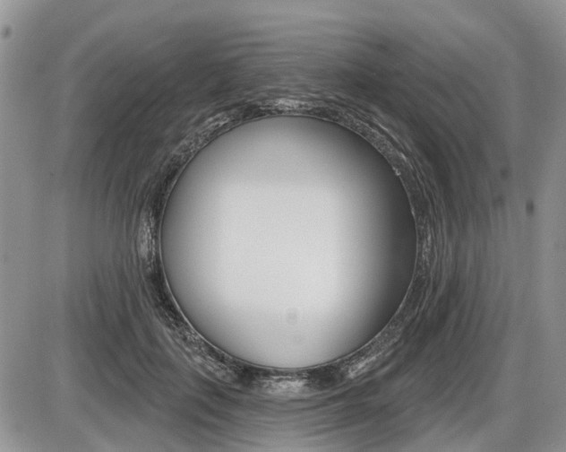 X0000087410651200704201021