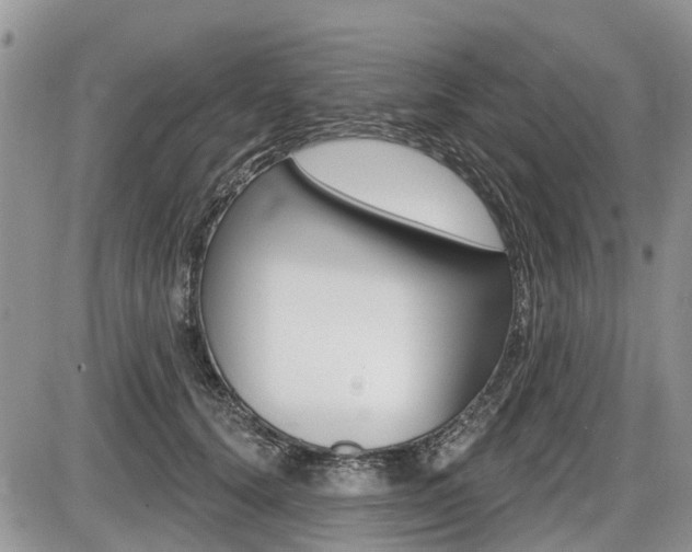 X0000087410656200704201022