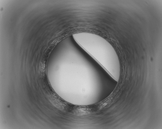 X0000087410657200704201022