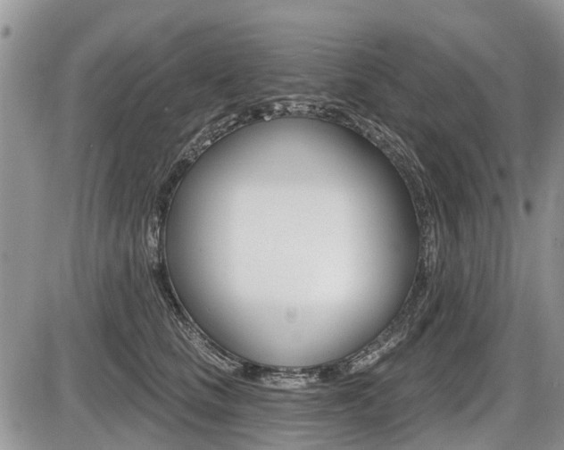 X0000087410661200704201022