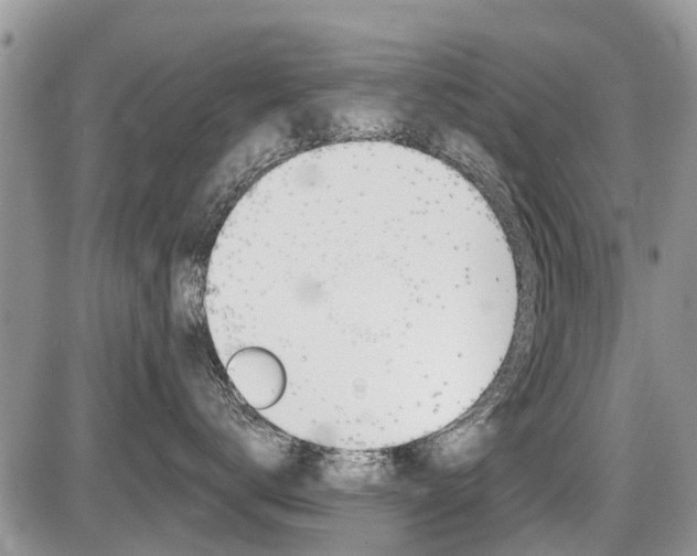 X0000087410672200704201022