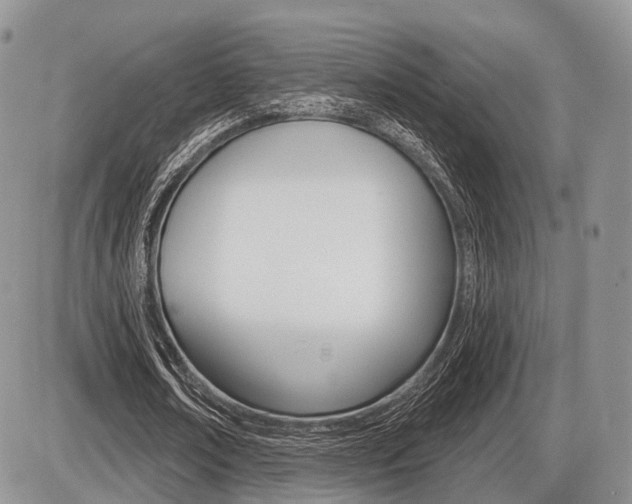X0000087410674200704201021