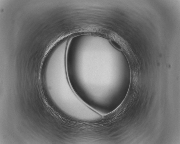 X0000087410676200704201021