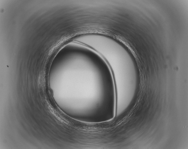 X0000087410677200704201021