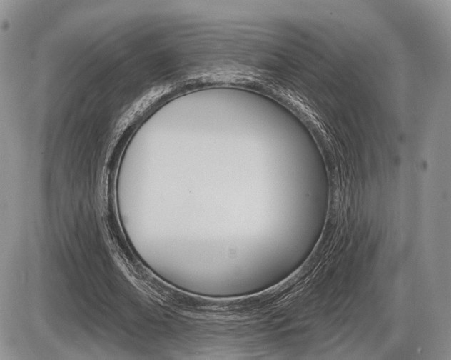 X0000087410678200704201021