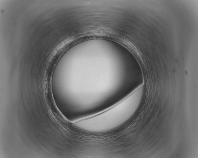 X0000087410680200704201021