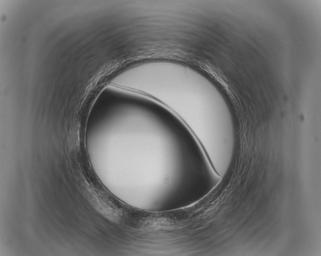 X0000087410685200704201021