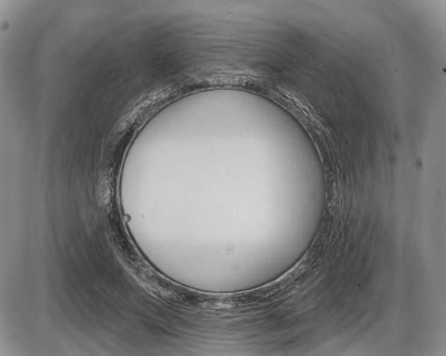 X0000087410687200704201021