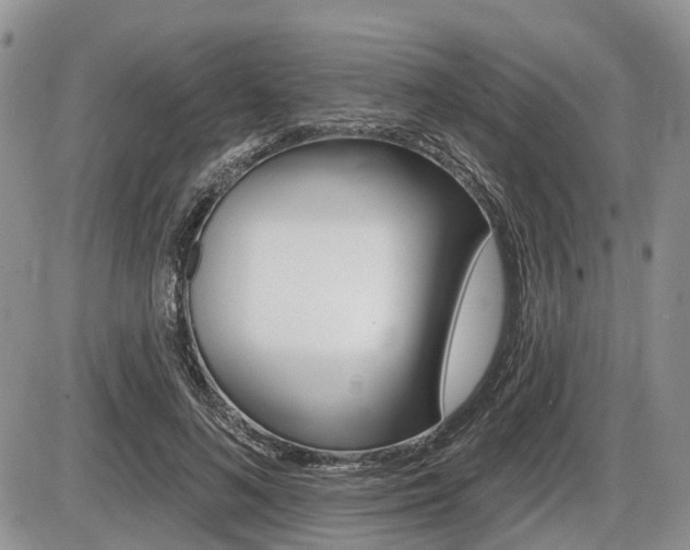 X0000087410692200704201021