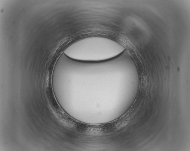 X0000087410694200704201021