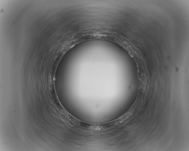 X0000087410704200704201021