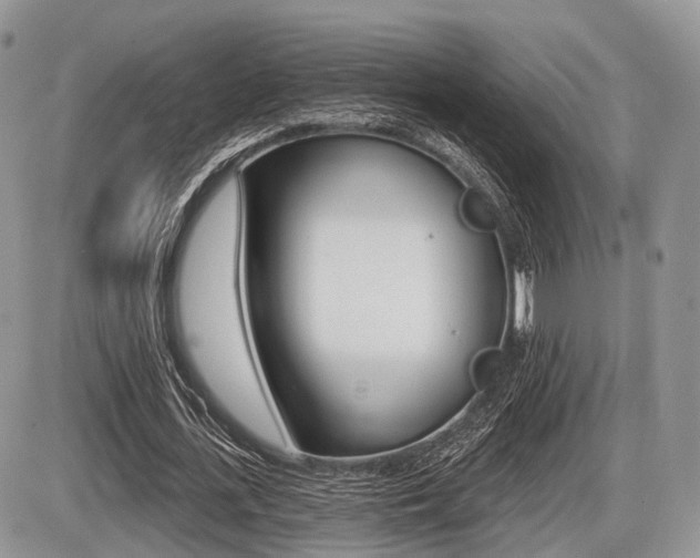 X0000087410723200704201020