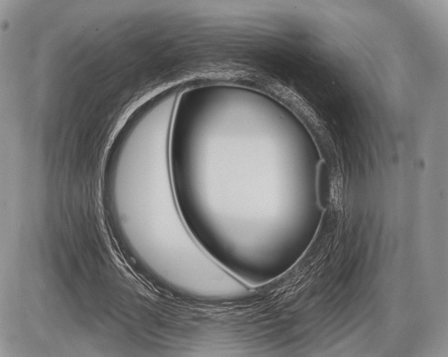 X0000087410724200704201020