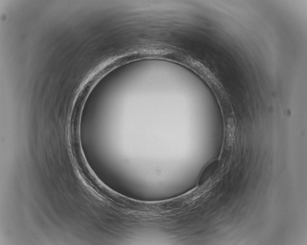 X0000087410726200704201020