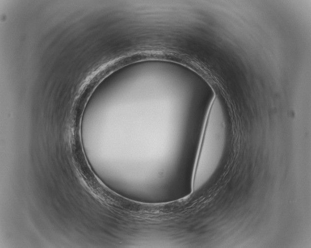 X0000087410728200704201020