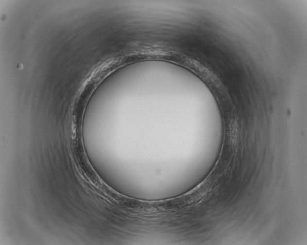 X0000087410731200704201020