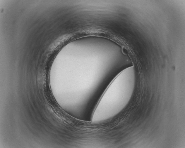 X0000087410732200704201020