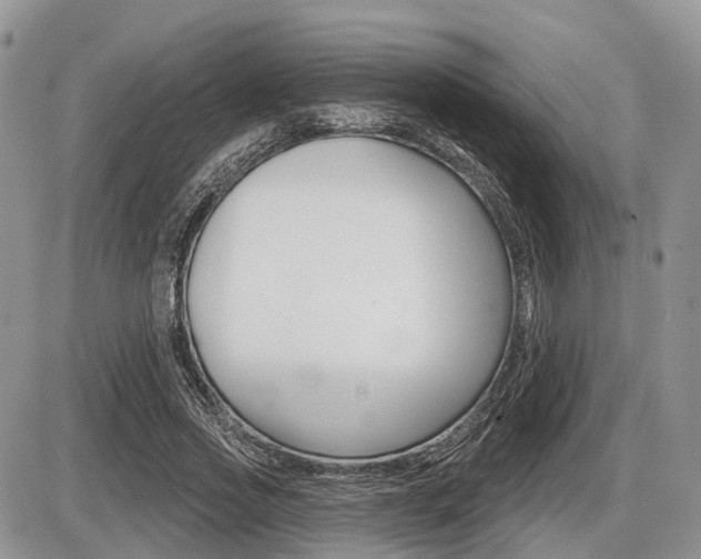 X0000087410733200704201020