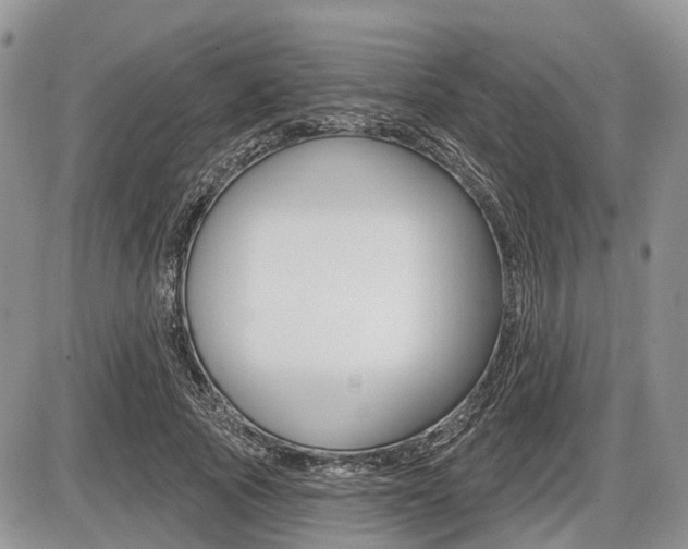 X0000087410737200704201020