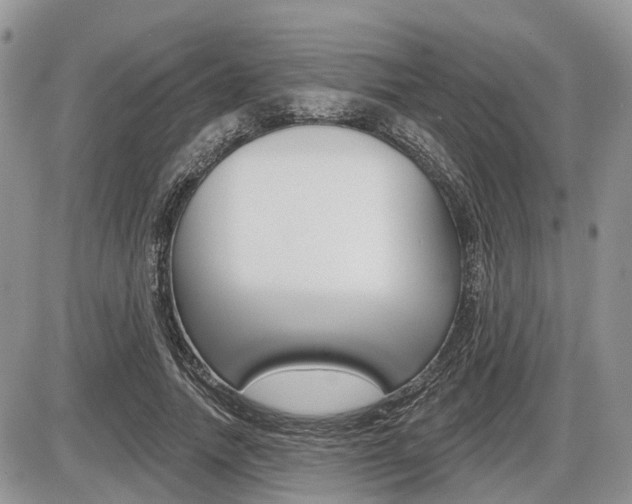 X0000087410738200704201020