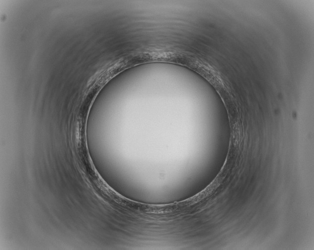 X0000087410740200704201020