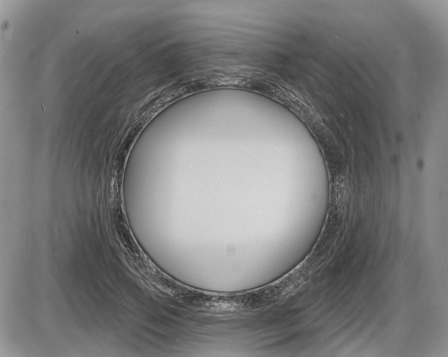 X0000087410741200704201020