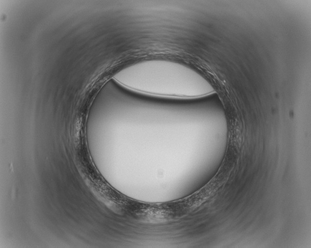 X0000087410742200704201020