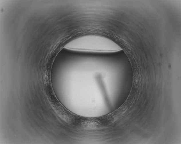 X0000087410743200704201020