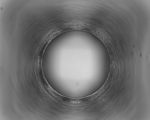 X0000087410744200704201020