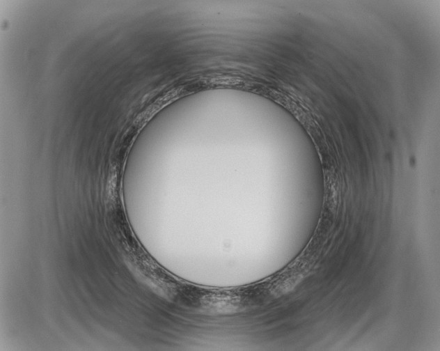 X0000087410745200704201020