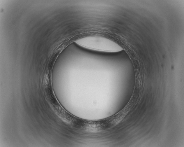 X0000087410746200704201020