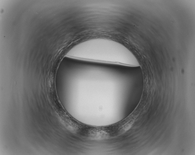 X0000087410747200704201020