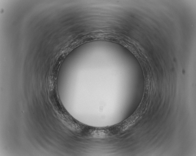 X0000087410751200704201020