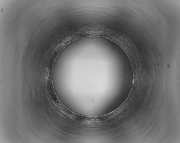 X0000087410752200704201020