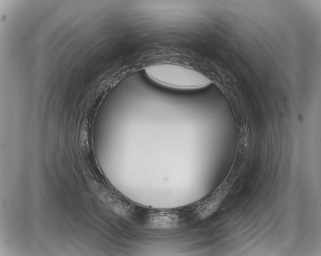 X0000087410754200704201020