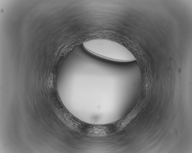 X0000087410758200704201020