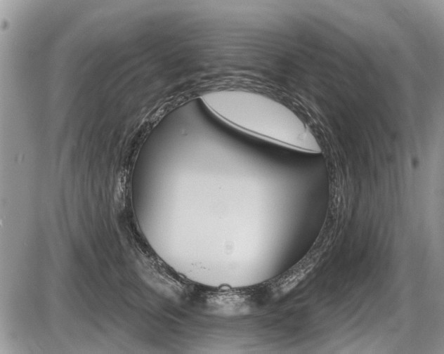 X0000087410759200704201020